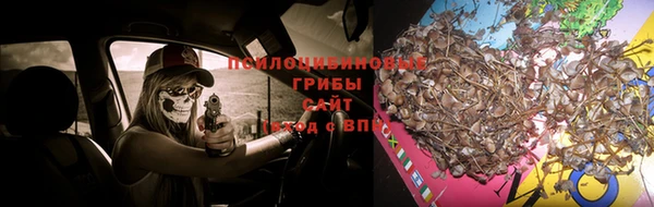 твердый Алзамай