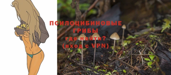 гидропоника Армянск