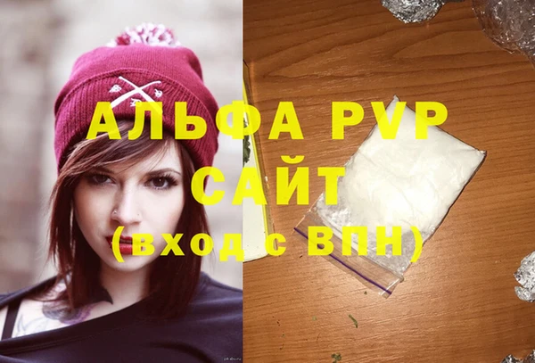 стаф Сатка