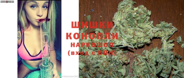 кокс Арсеньев