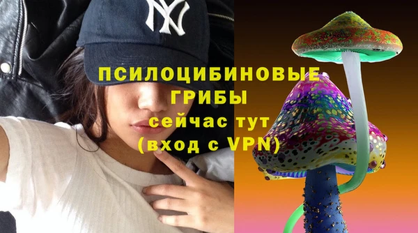 кокс Арсеньев