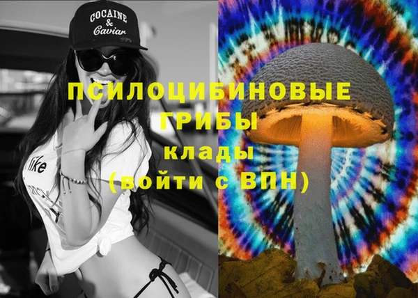 твердый Алзамай