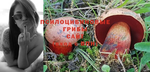 стафф Саяногорск