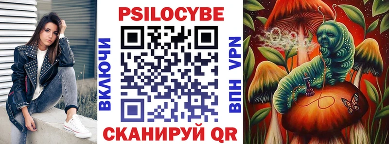 Галлюциногенные грибы Psilocybe  купить  сайты  Белово 